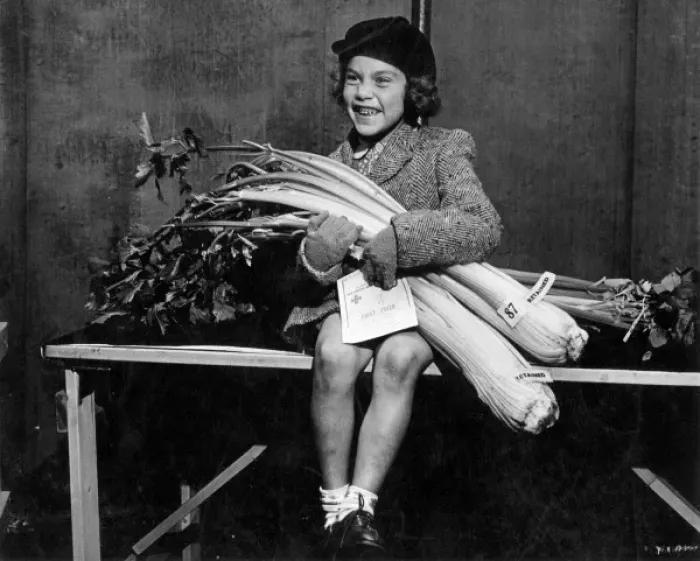 Framed Print : Small girl with prize winning celery