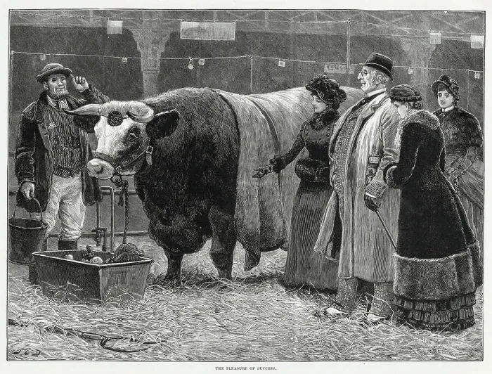 Framed Print : A small group at Smithfield's Market looking at beef cattle. Meat had been traded on the site of Smithfield's for over 800 years, but the present building was opened in 1868 Framed Print : A small group at Smithfield's Market looking at beef cattle. Meat had been traded on the site of Smithfield's for over 800 years, but the present building was opened in 1868