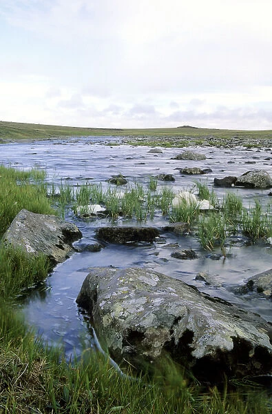 A small river in arctic tundra