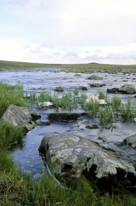 Framed Print : A small river in arctic tundra Framed Print : A small river in arctic tundra