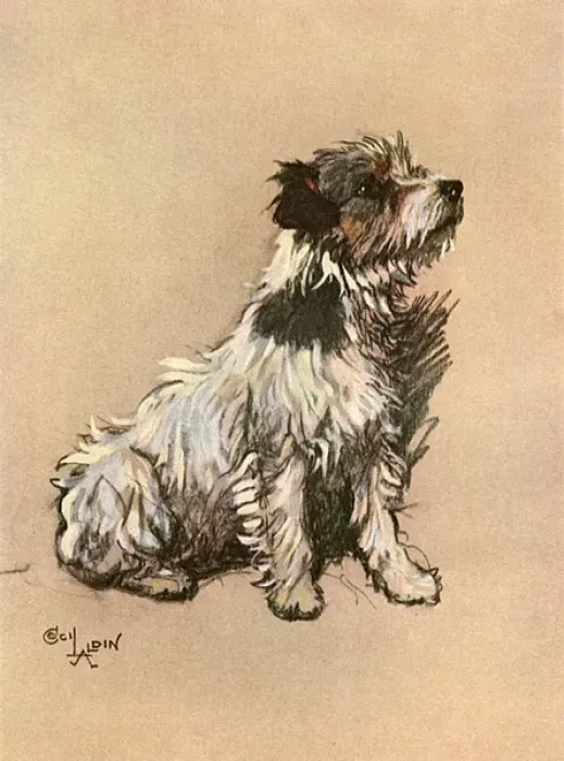 Framed Print : Small terrier -- Little Dog Riley Framed Print : Small terrier -- Little Dog Riley