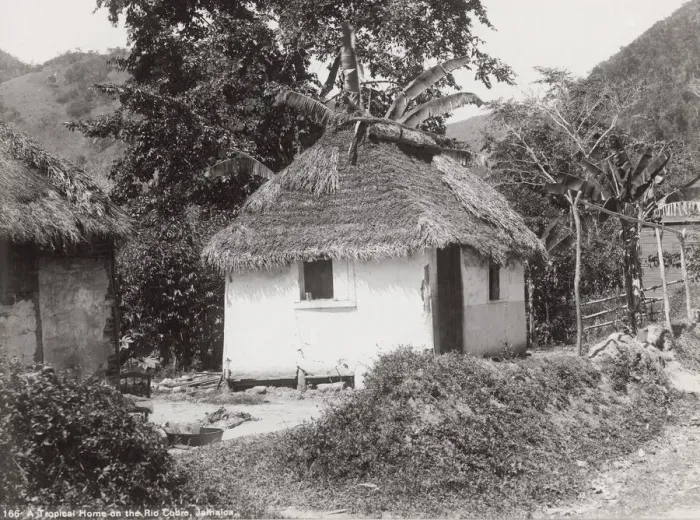 Framed Print : Small thatched house on the Rio Cobre, Jamaica, West Indies Framed Print : Small thatched house on the Rio Cobre, Jamaica, West Indies