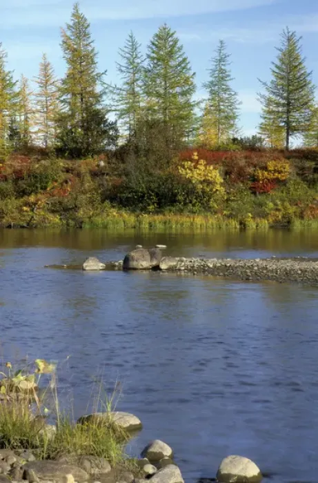 Framed Print : A smalll river in semi-tundra in autumn, near Dudinka Framed Print : A smalll river in semi-tundra in autumn, near Dudinka