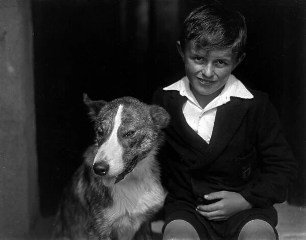A smiling boy and his bull terrier dog