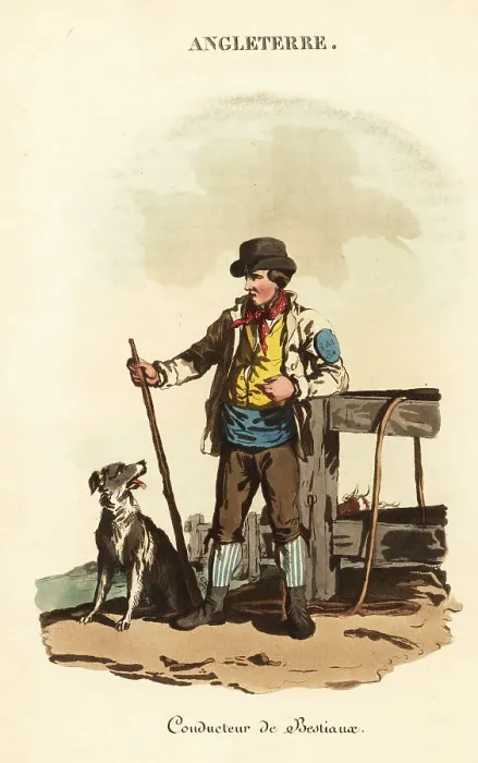 Framed Print : Smithfield drover with dog, 1800s Framed Print : Smithfield drover with dog, 1800s