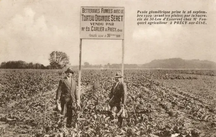 Framed Print : Smoked Sugar Beet plantation at Precy-sur-Oise, France Framed Print : Smoked Sugar Beet plantation at Precy-sur-Oise, France