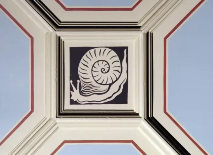 Framed Print : Snail ceiling panel Framed Print : Snail ceiling panel
