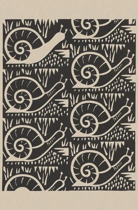 Framed Print : Snail Pattern Framed Print : Snail Pattern