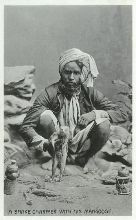 Framed Print : A Snake Charmer with a Mongoose Framed Print : A Snake Charmer with a Mongoose