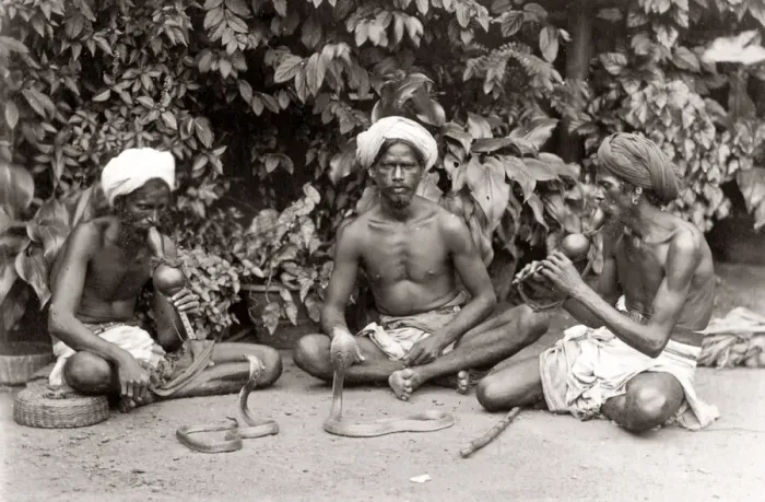 Framed Print : Snake charmers, musical instruments, India, c. 1880 s Framed Print : Snake charmers, musical instruments, India, c. 1880 s