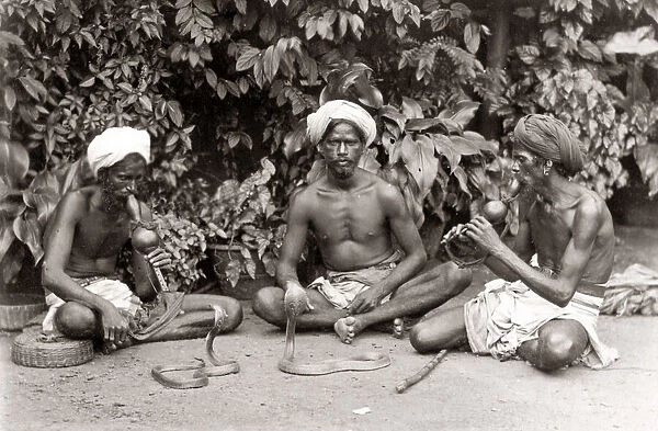 Snake charmers, musical instruments, India, c. 1880 s