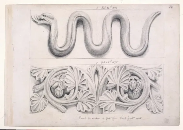 Framed Print : Snake and plant design Framed Print : Snake and plant design