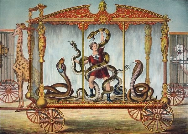 The snake wagon