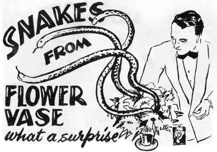 Framed Print : Snakes From a Flower Vase Framed Print : Snakes From a Flower Vase
