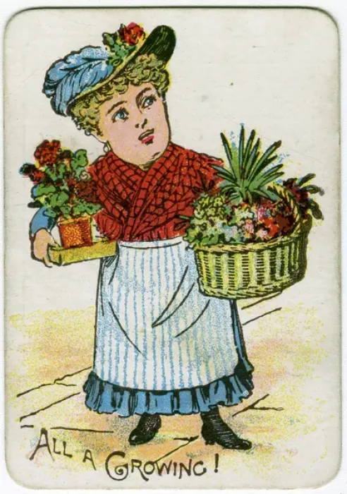 Framed Print : Snap Playing Card - All a Growing Framed Print : Snap Playing Card - All a Growing