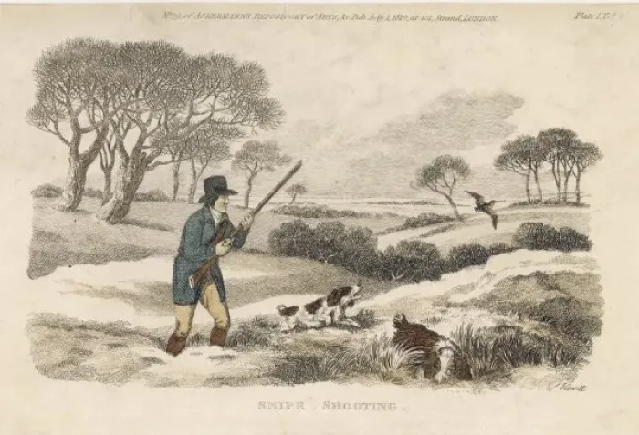 Framed Print : Snipe Shooting 1810 Framed Print : Snipe Shooting 1810