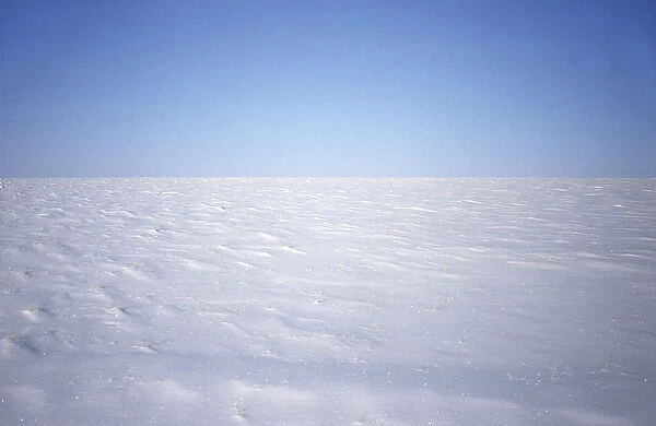 Snow-covered tundra in winter