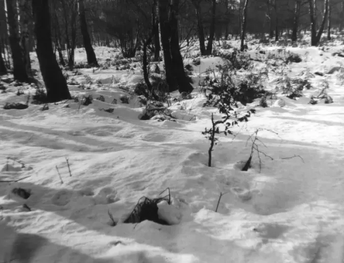 Framed Print : Snow Patterns Framed Print : Snow Patterns