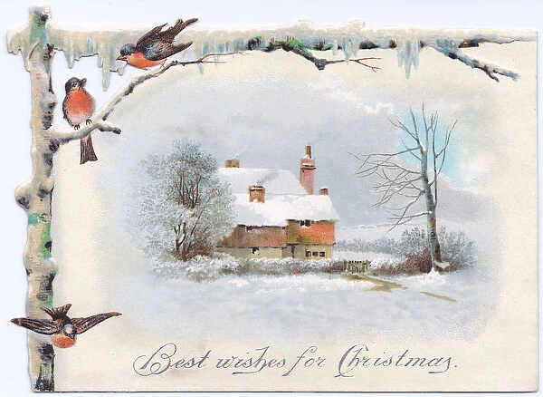 Snow scene with robins and cottage on a Christmas card
