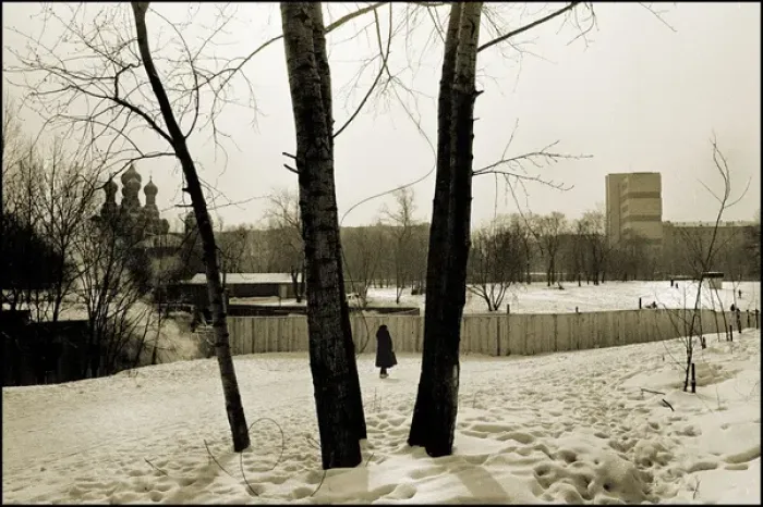 Framed Print : Snow and trees, Moscow Framed Print : Snow and trees, Moscow