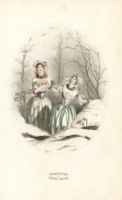 Framed Print : Snowdrop and cowslip flower fairies Framed Print : Snowdrop and cowslip flower fairies