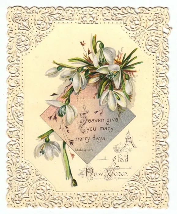 Framed Print : Snowdrops on a New Year card Framed Print : Snowdrops on a New Year card