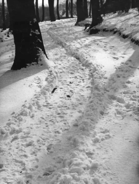 Framed Print : SNOWY PARK Framed Print : SNOWY PARK