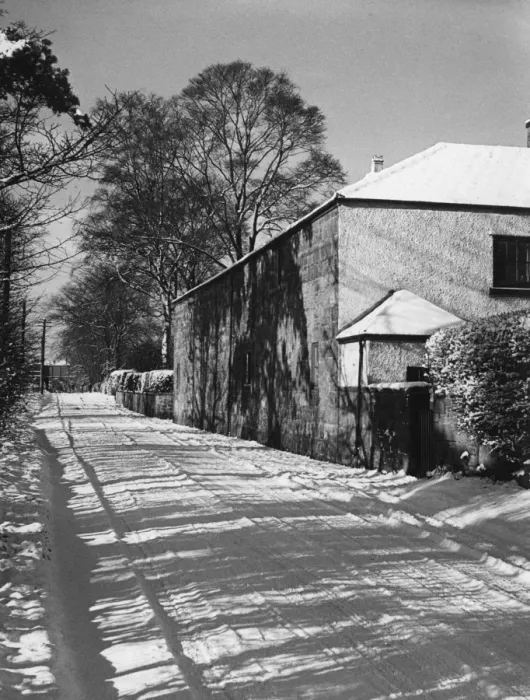 Framed Print : Snowy Shadows Framed Print : Snowy Shadows