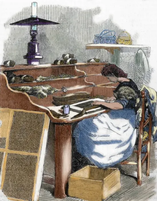 Framed Print : The snuff industry. Woman rolling cigars. France Framed Print : The snuff industry. Woman rolling cigars. France
