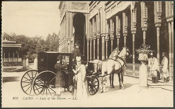 Social  /  Cairo Harem 1905