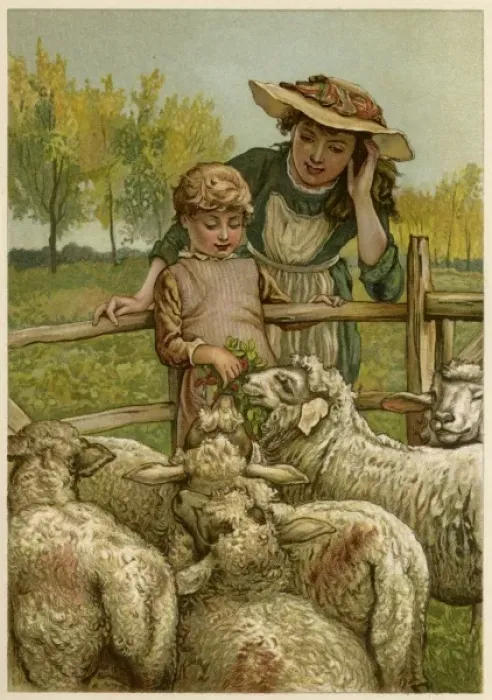 Framed Print : Social / Feeding Sheep 19C Framed Print : Social / Feeding Sheep 19C