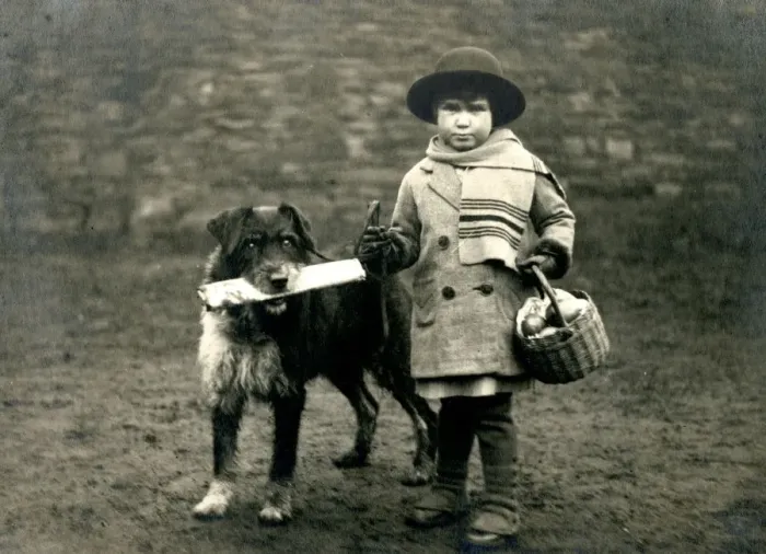 Framed Print : Social History - Dog brings home newspaper with young child Framed Print : Social History - Dog brings home newspaper with young child