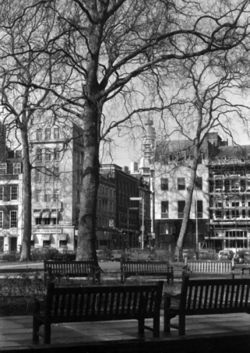 Framed Print : Soho, London - Soho Square W1 Framed Print : Soho, London - Soho Square W1