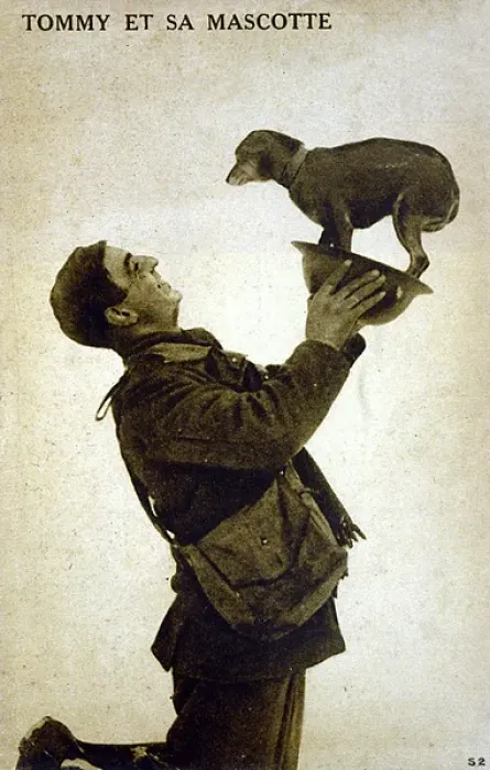 Framed Print : Soldier and Dog Friend Framed Print : Soldier and Dog Friend