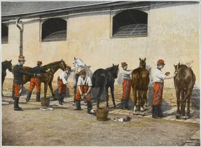 Framed Print : Soldiers & Horses Framed Print : Soldiers & Horses