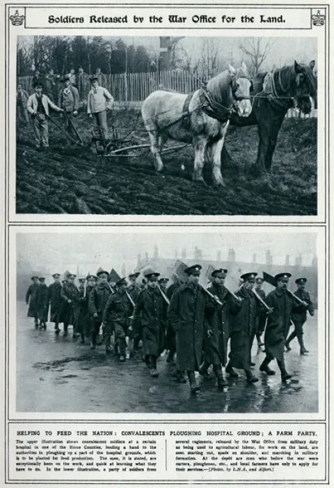 Framed Print : Soldiers released by the War Office for land 1917 Framed Print : Soldiers released by the War Office for land 1917