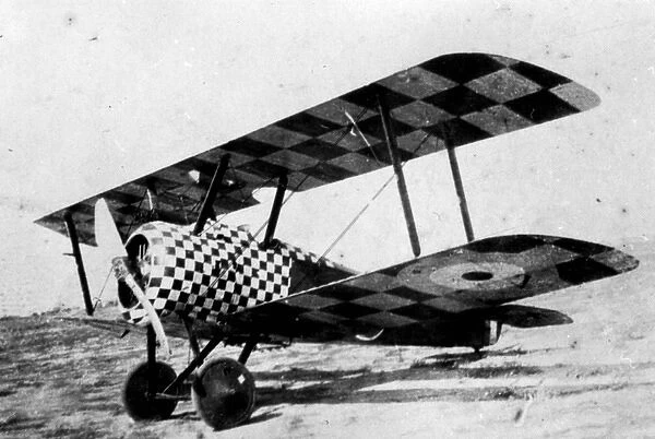 Sopwith 1F Camel entered service in mid 1917 with both