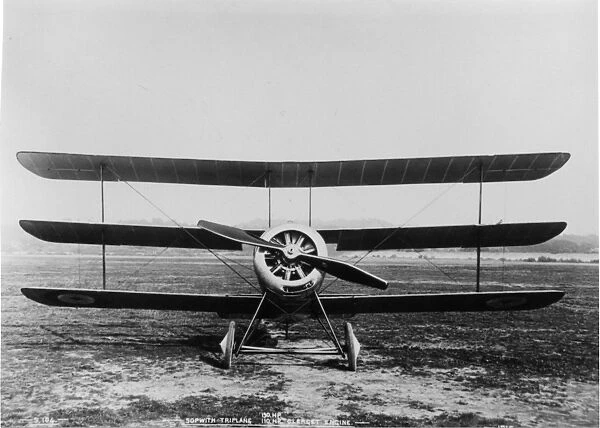 Sopwith Triplane front, (on the ground)