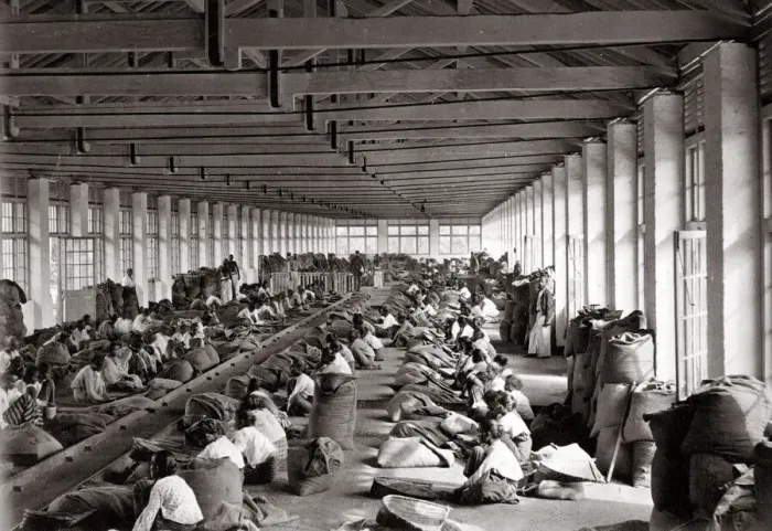 Framed Print : Sorting coffee in a factory, India or Ceylon / Sri Lanka Framed Print : Sorting coffee in a factory, India or Ceylon / Sri Lanka