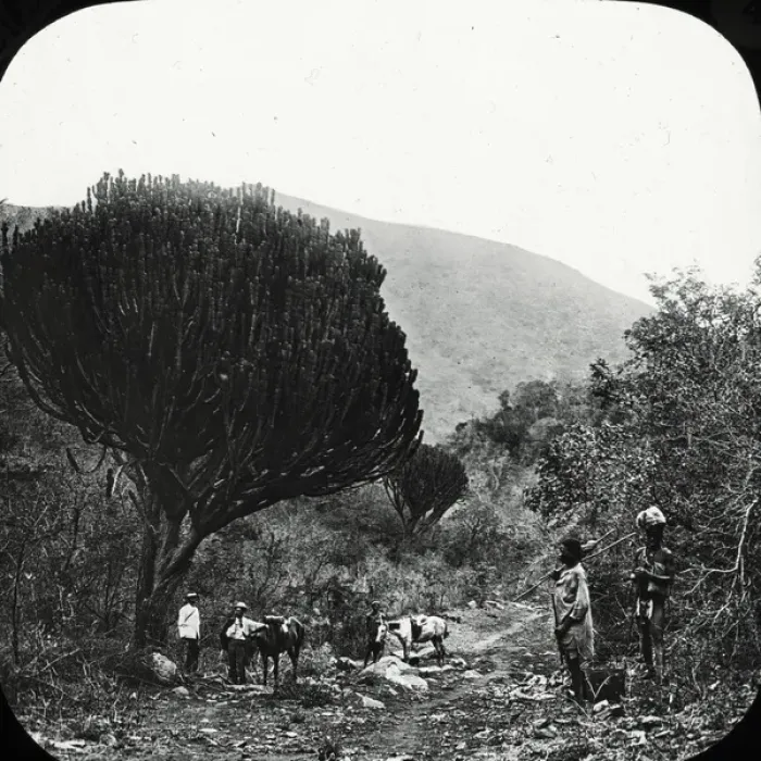 Framed Print : South Africa - Elephants Creek Framed Print : South Africa - Elephants Creek