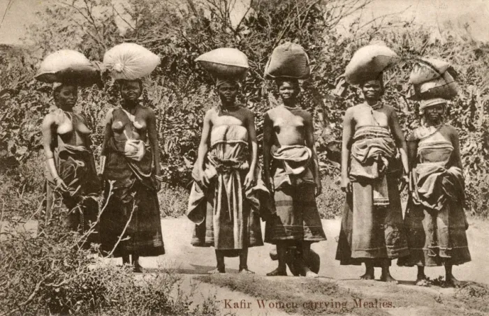 Framed Print : South Africa - Women carrying mealie-meal Framed Print : South Africa - Women carrying mealie-meal