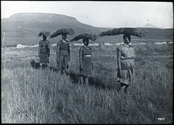 Framed Print : South Africa - Zulu Women Carrying Reeds Framed Print : South Africa - Zulu Women Carrying Reeds