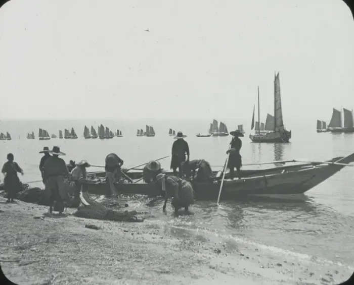 Framed Print : South China - Fishing Fleet Framed Print : South China - Fishing Fleet