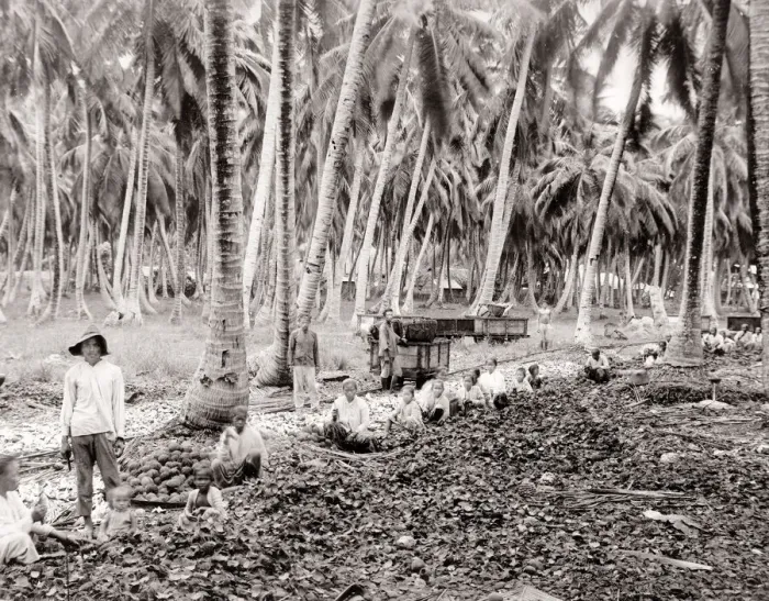 Framed Print : South East Asia - farm workers sorting crop Framed Print : South East Asia - farm workers sorting crop