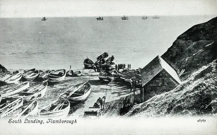 Framed Print : South Landing - Flamborough, East Riding of Yorkshire. Cobles of the crab fishing fleet. Date: circa 1909 Framed Print : South Landing - Flamborough, East Riding of Yorkshire. Cobles of the crab fishing fleet. Date: circa 1909