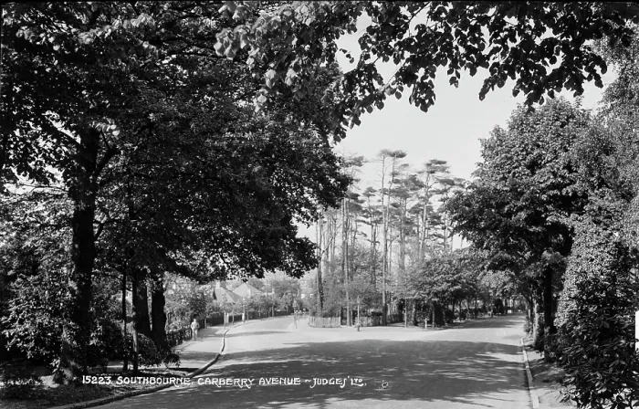 Framed Print : Southbourne Carberry Avenue Framed Print : Southbourne Carberry Avenue