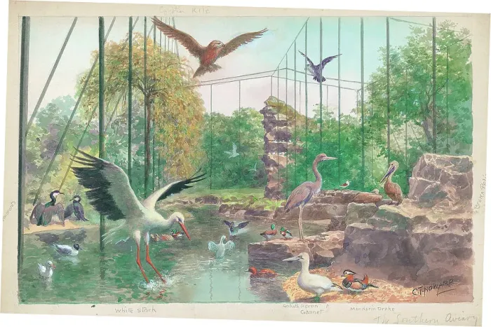 Framed Print : The Southern Aviary at London Zoo Framed Print : The Southern Aviary at London Zoo