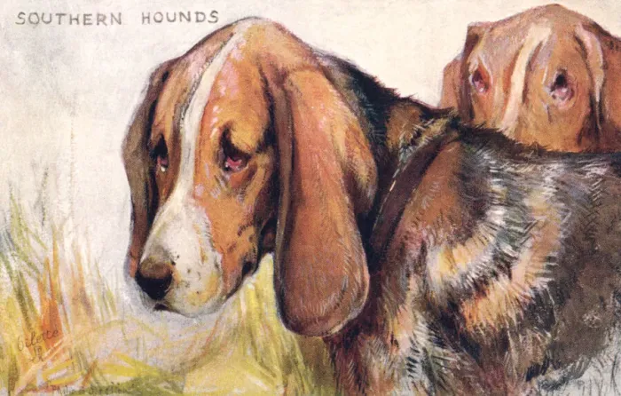 Framed Print : Southern Hounds Framed Print : Southern Hounds