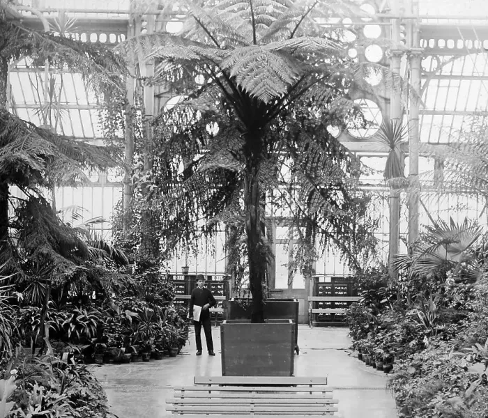 Framed Print : Southport Winter Gardens Framed Print : Southport Winter Gardens