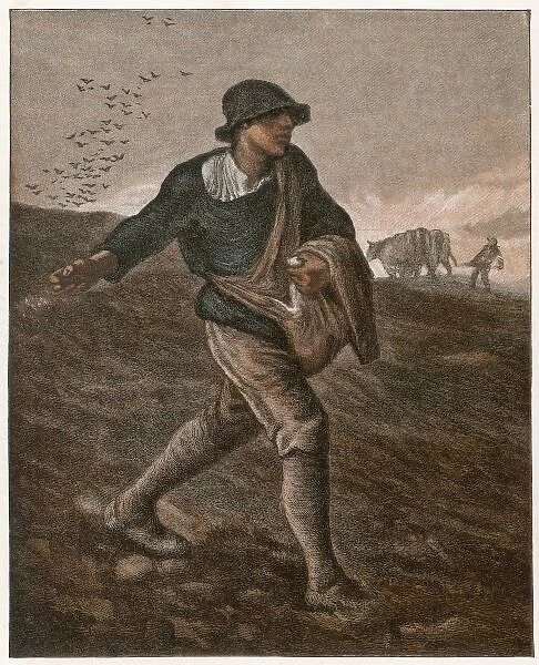 The Sower (Millet)